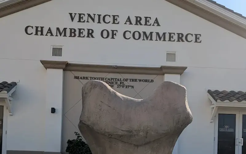 Chamber Of Commerce Chamber Of Commerce